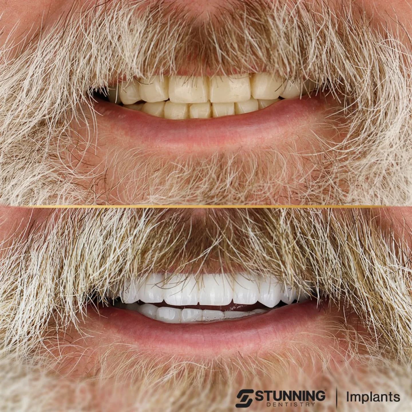 Campbell – photo 3